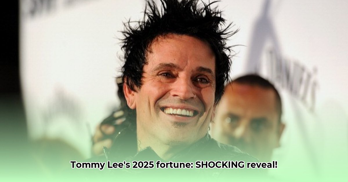 tommy-lee-s-net-worth